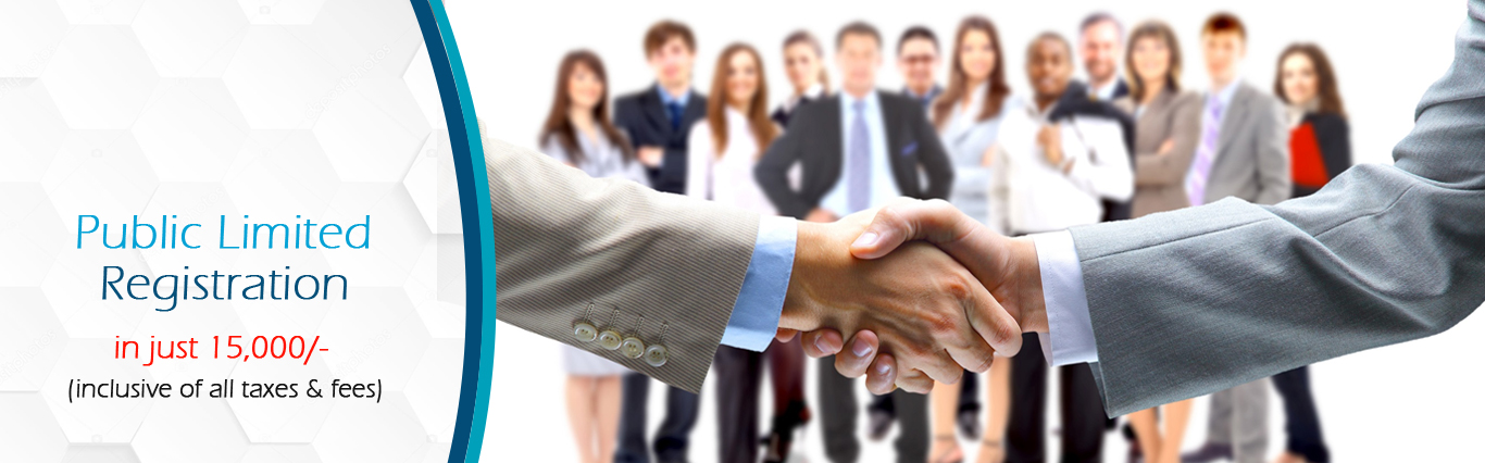 Public Limited Company Registration Online in Delhi