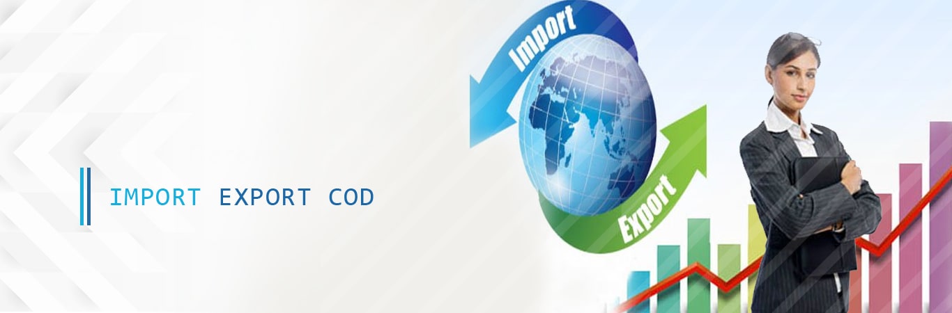 Name Change of Company